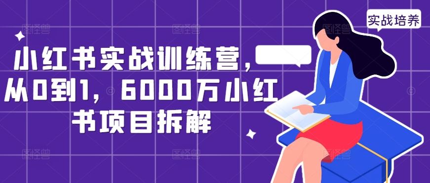 小红书实战训练营，从0到1，6000万小红书项目拆解-3YVIP资源库