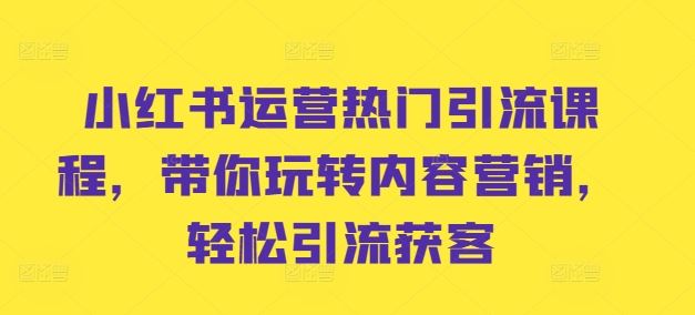 小红书运营热门引流课程，带你玩转内容营销，轻松引流获客-3YVIP资源库