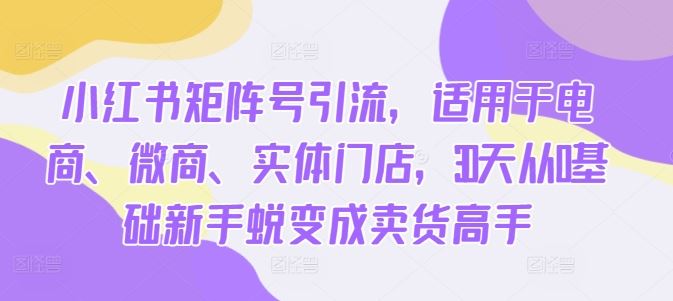 小红书矩阵号引流，适用于电商、微商、实体门店，30天从0基础新手蜕变成卖货高手-3YVIP资源库
