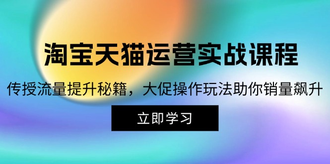 （12959期）淘宝&天猫运营实战课程，传授流量提升秘籍，大促操作玩法助你销量飙升-3YVIP资源库