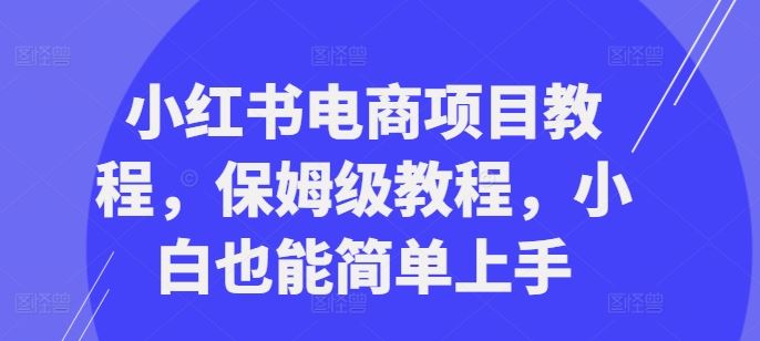 小红书电商项目教程，保姆级教程，小白也能简单上手-3YVIP资源库