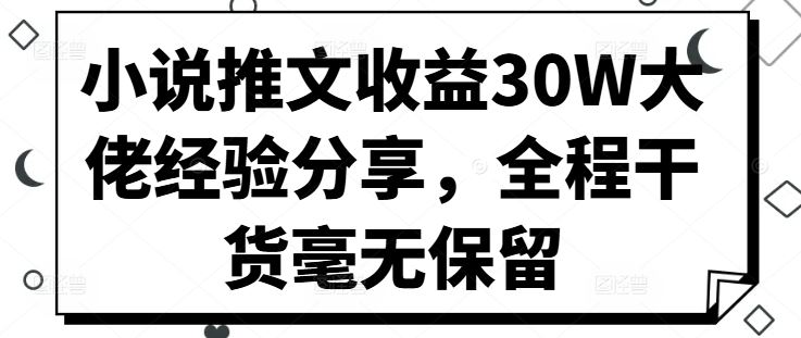 小说推文收益30W大佬经验分享，全程干货毫无保留-3YVIP资源库