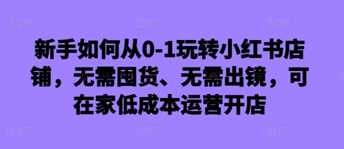 新手如何从0-1玩转小红书店铺，无需囤货、无需出镜，可在家低成本运营开店-3YVIP资源库