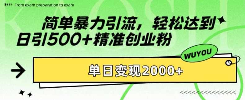 简单暴力引流，轻松达到日引500+精准创业粉，单日变现2k【揭秘】-3YVIP资源库
