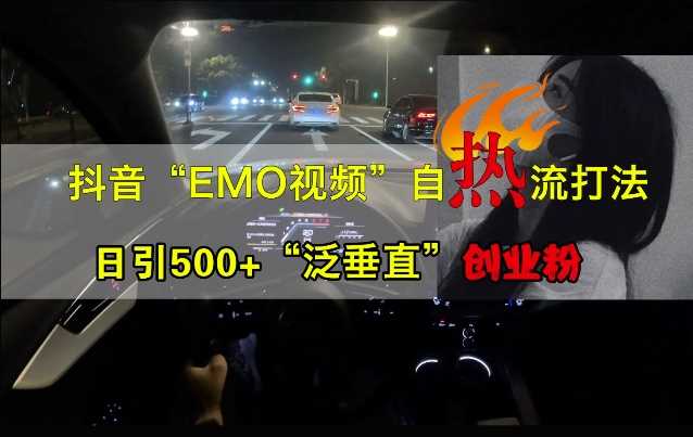 抖音EMO视频自热打法，日引500+“泛垂直”创业粉-3YVIP资源库