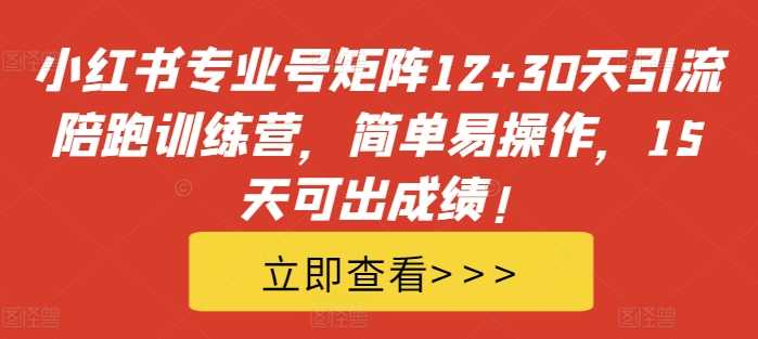 小红书专业号矩阵12+30天引流陪跑训练营，简单易操作，15天可出成绩!-3YVIP资源库