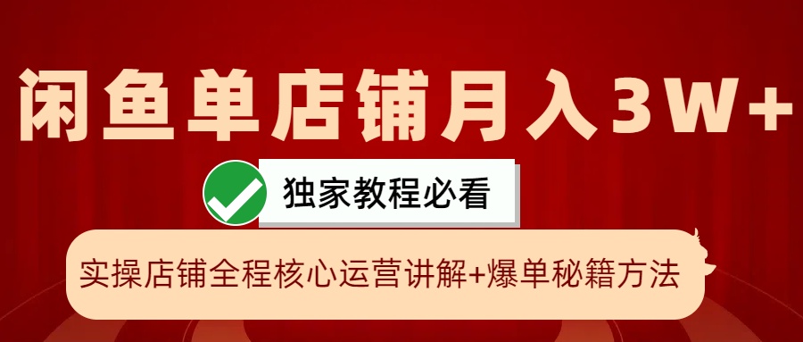 闲鱼单店铺月入3W+实操展示，爆单核心秘籍，一学就会-3YVIP资源库