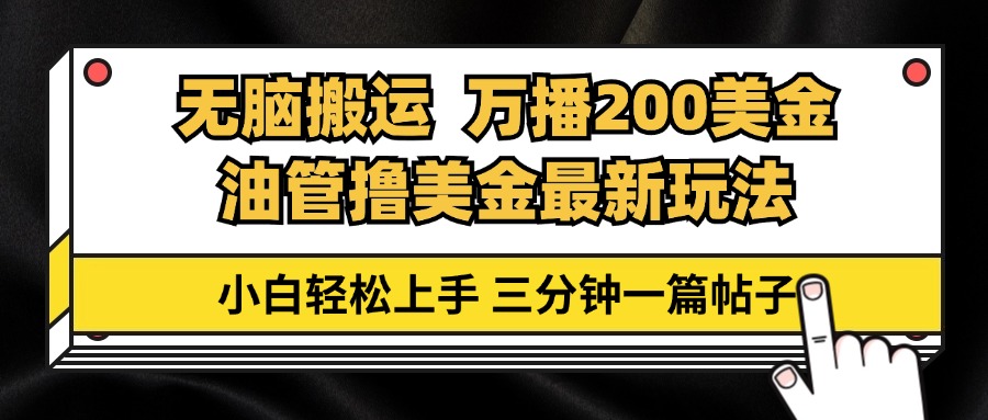 （13050期）油管无脑搬运撸美金玩法教学，万播200刀，三分钟一篇帖子，小白轻松上手-3YVIP资源库