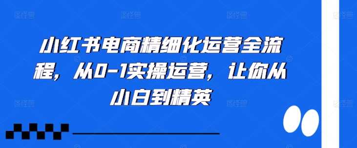 小红书电商精细化运营全流程，从0-1实操运营，让你从小白到精英-3YVIP资源库