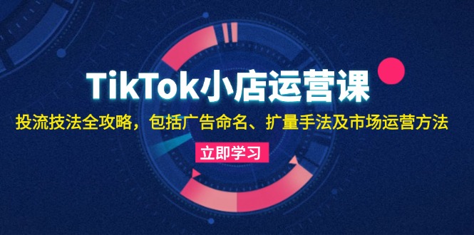（13063期）TikTok小店运营课：投流技法全攻略，包括广告命名 扩量手法及市场运营方法-3YVIP资源库