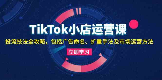 TikTok小店运营课：投流技法全攻略，包括广告命名 扩量手法及市场运营方法-3YVIP资源库