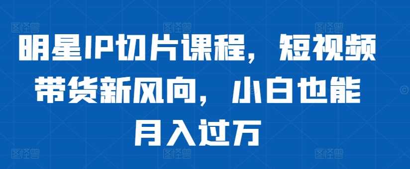 明星IP切片课程，短视频带货新风向，小白也能月入过万-3YVIP资源库