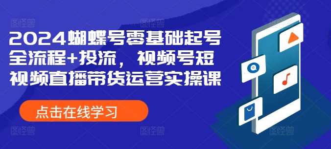 2024蝴蝶号零基础起号全流程+投流，视频号短视频直播带货运营实操课-3YVIP资源库