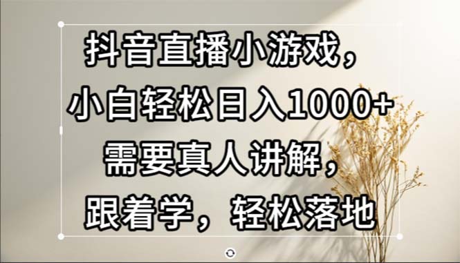 （13075期）抖音直播小游戏，小白轻松日入1000+需要真人讲解，跟着学，轻松落地-3YVIP资源库