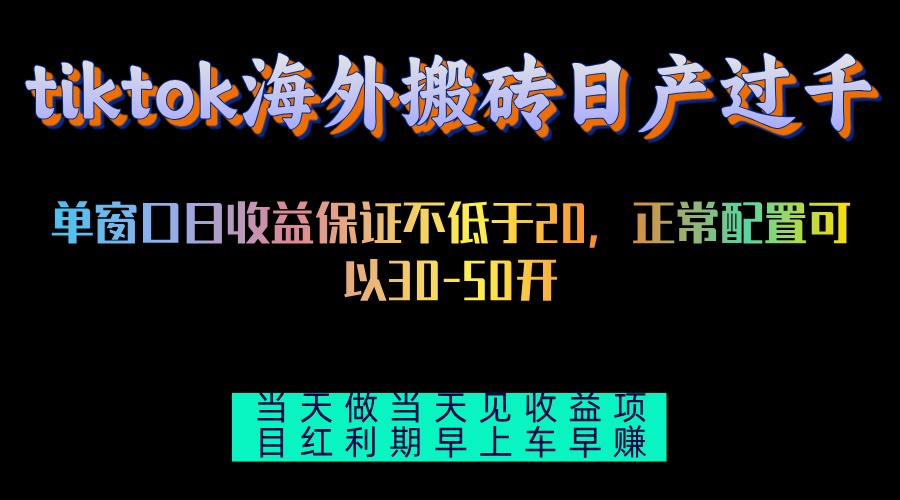 （13079期）tiktok海外搬砖项目单机日产过千当天做当天见收益-3YVIP资源库