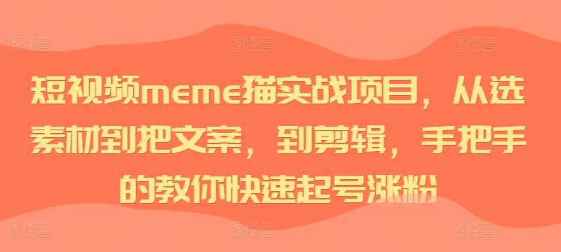 短视频meme猫实战项目，从选素材到把文案，到剪辑，手把手的教你快速起号涨粉-3YVIP资源库