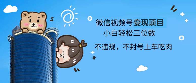 （13115期）2024最新微信视频号变现项目，小白轻松月入四位数-3YVIP资源库