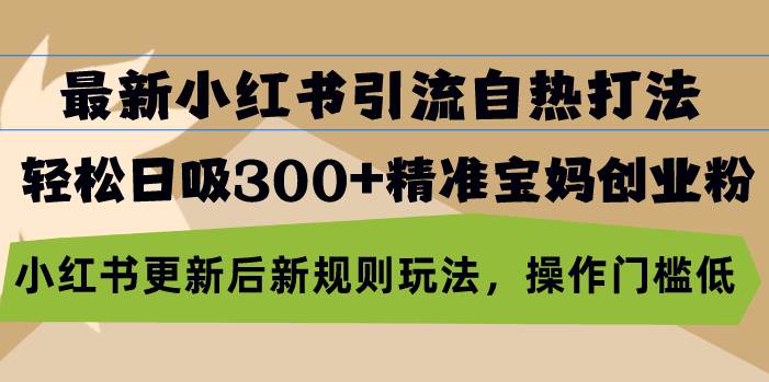 （13145期）最新小红书引流自热打法，轻松日吸300+精准宝妈创业粉，小红书更新后新…-3YVIP资源库