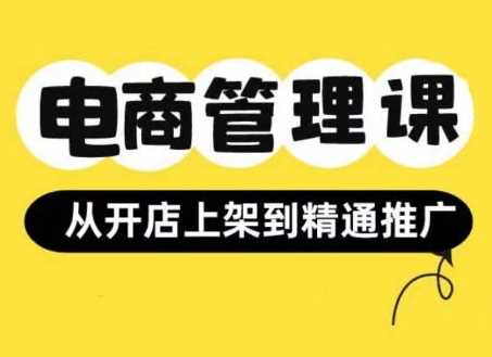 小红书&闲鱼开店从开店上架到精通推广，电商管理课-3YVIP资源库