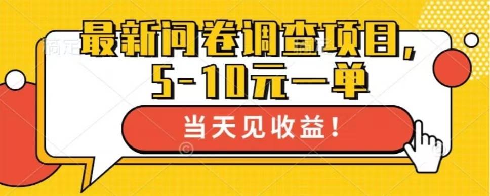 （13167期）最新问卷调查项目，单日零撸100＋-3YVIP资源库