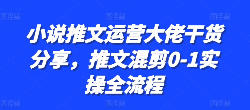 小说推文运营大佬干货分享，推文混剪0-1实操全流程-3YVIP资源库