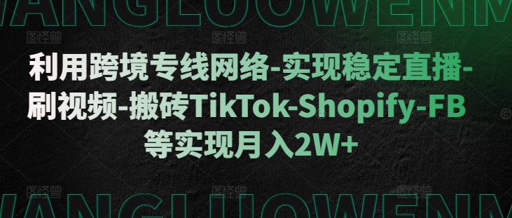 利用跨境专线网络-实现稳定直播-刷视频-搬砖TikTok-Shopify-FB等实现月入2W+【揭秘】-3YVIP资源库
