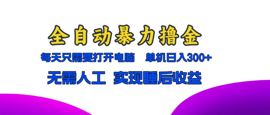（13186期）全自动暴力撸金，只需要打开电脑，单机日入300+无需人工，实现睡后收益-3YVIP资源库