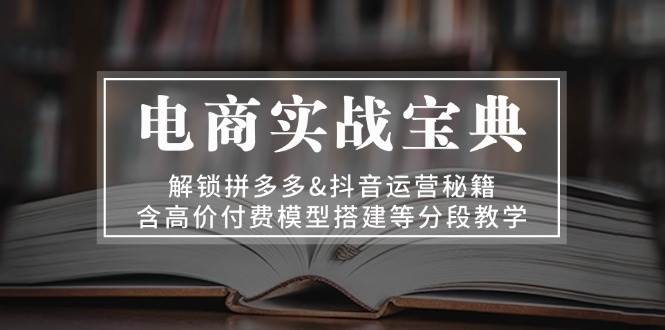 （13195期）电商实战宝典 解锁拼多多&抖音运营秘籍 含高价付费模型搭建等分段教学-3YVIP资源库