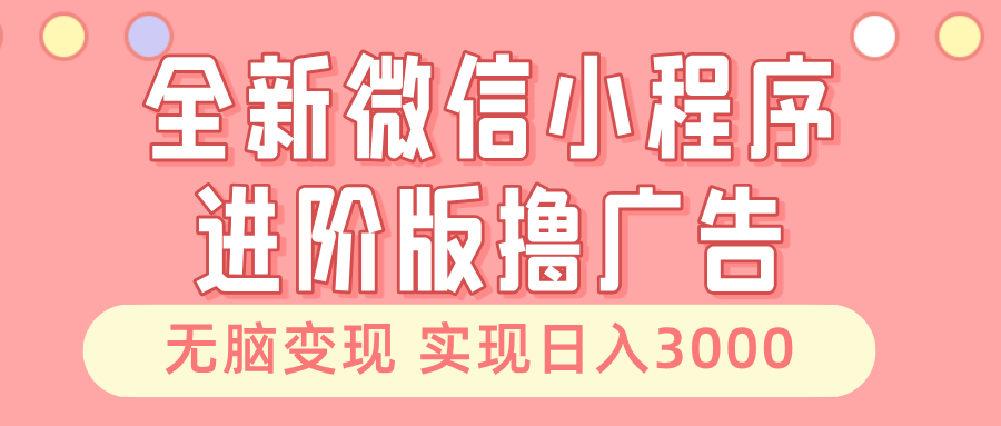 （13197期）全新微信小程序进阶版撸广告 无脑变现睡后也有收入 日入3000＋-3YVIP资源库