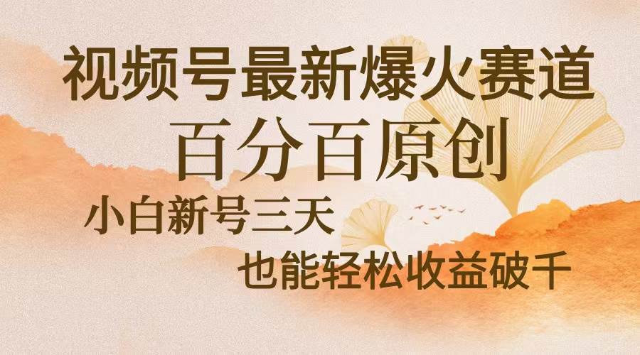 （13225期）视频号最新爆火赛道，中老年粉深信不疑，百分百原创，新号三天收益轻松…-3YVIP资源库