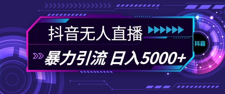 抖音快手视频号全平台通用无人直播引流法，利用图片模板和语音话术，暴力日引流100+创业粉【揭秘】-3YVIP资源库