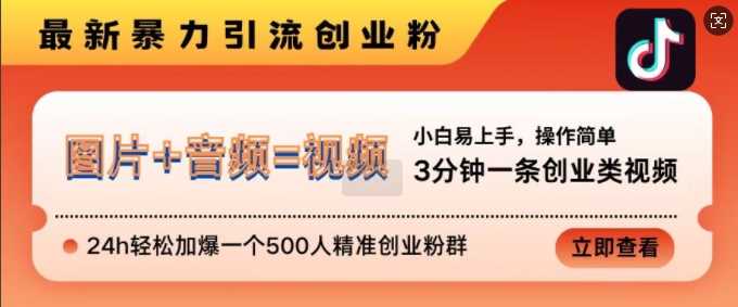 抖音最新暴力引流创业粉，3分钟一条创业类视频，24h轻松加爆一个500人精准创业粉群【揭秘】-3YVIP资源库