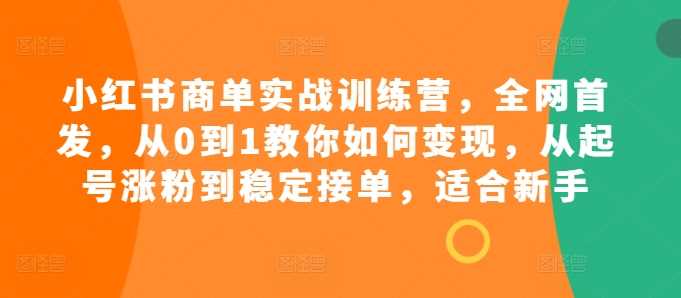小红书商单实战训练营，全网首发，从0到1教你如何变现，从起号涨粉到稳定接单，适合新手-3YVIP资源库
