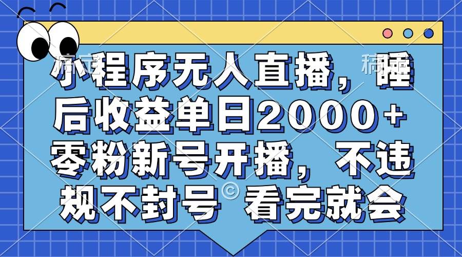 （13251期）小程序无人直播，睡后收益单日2000+ 零粉新号开播，不违规不封号 看完就会-3YVIP资源库