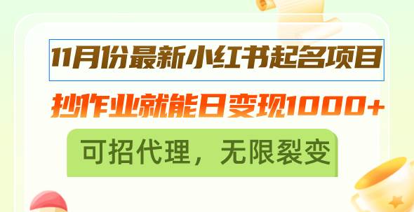 （13256期）11月份最新小红书起名项目，抄作业就能日变现1000+，可招代理，无限裂变-3YVIP资源库
