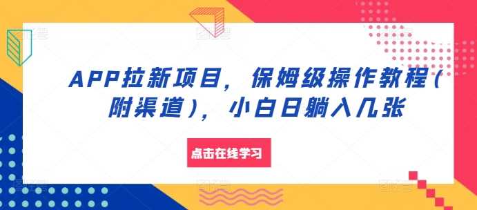 APP拉新项目，保姆级操作教程(附渠道)，小白日躺入几张【揭秘】-3YVIP资源库