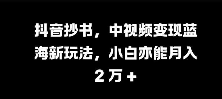 抖音抄书，中视频变现蓝海新玩法，小白亦能月入 过W【揭秘】-3YVIP资源库