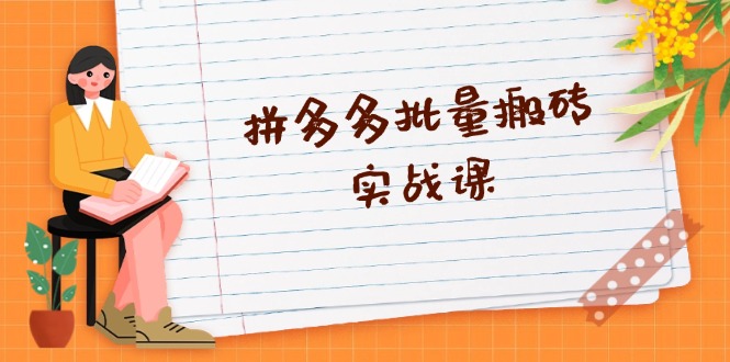 （13265期）拼多多批量搬砖实战课，全自动剪辑发布，黑科技新技术与爆款选品策略-3YVIP资源库
