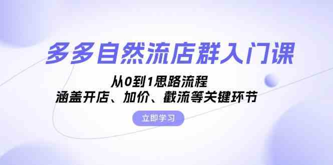 多多自然流店群入门课，从0到1思路流程，涵盖开店、加价、截流等关键环节-3YVIP资源库