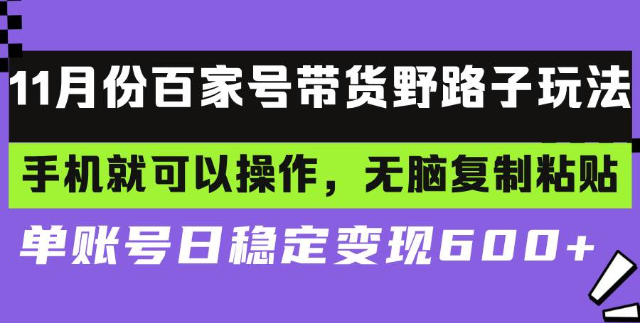 （13281期）百家号带货野路子玩法 手机就可以操作，无脑复制粘贴 单账号日稳定变现…-3YVIP资源库