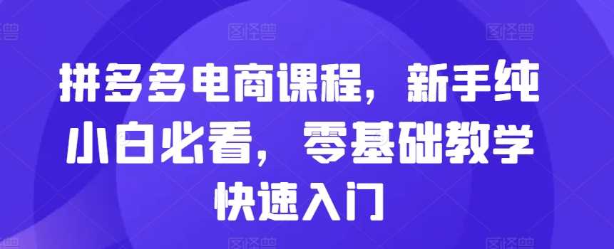 拼多多电商课程，新手纯小白必看，零基础教学快速入门-3YVIP资源库