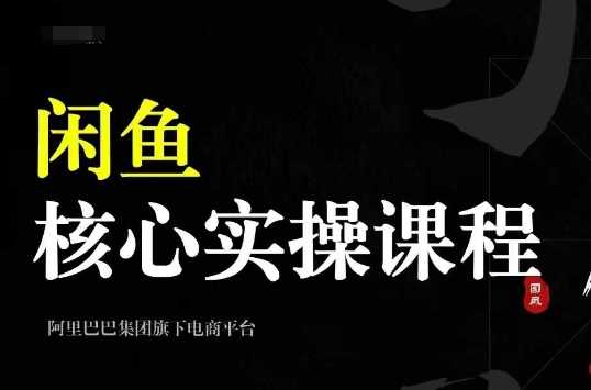 2024闲鱼核心实操课程，从养号、选品、发布、销售，教你做一个出单的闲鱼号-3YVIP资源库