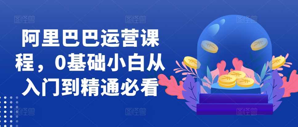 阿里巴巴运营课程，0基础小白从入门到精通必看-3YVIP资源库