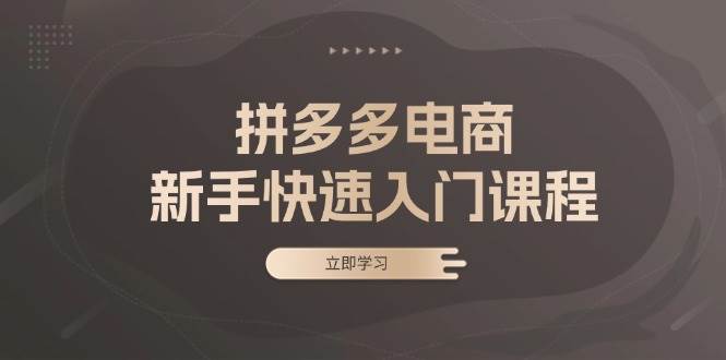 （13289期）拼多多电商新手快速入门课程：涵盖基础、实战与选款，助力小白轻松上手-3YVIP资源库