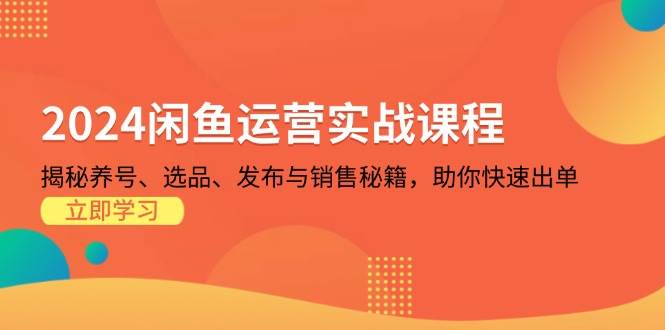 （13290期）2024闲鱼运营实战课程：揭秘养号、选品、发布与销售秘籍，助你快速出单-3YVIP资源库