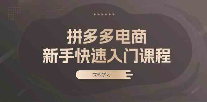 拼多多电商新手快速入门课程：涵盖基础、实战与选款，助力小白轻松上手-3YVIP资源库