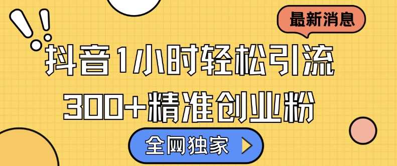 全网独家抖音引流，轻松日引300+精准创业粉【揭秘】-3YVIP资源库