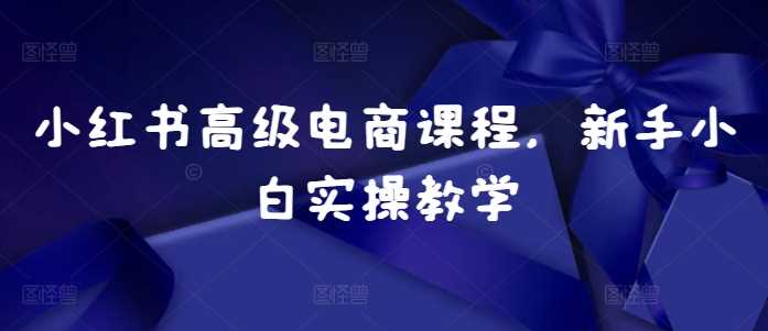 小红书高级电商课程，新手小白实操教学-3YVIP资源库