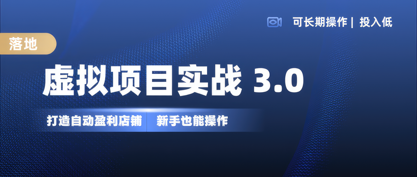 虚拟项目实操落地 3.0,新手轻松上手，单品月入1W+-3YVIP资源库