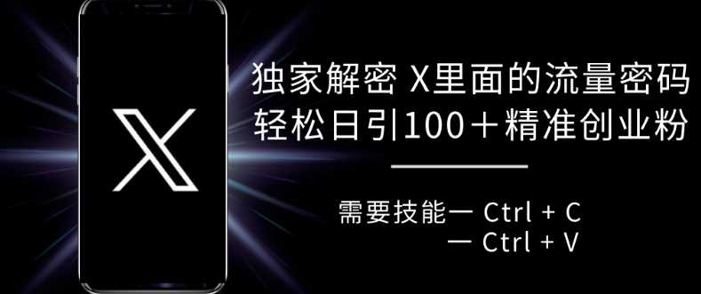 独家解密 X 里面的流量密码，复制粘贴轻松日引100+-3YVIP资源库